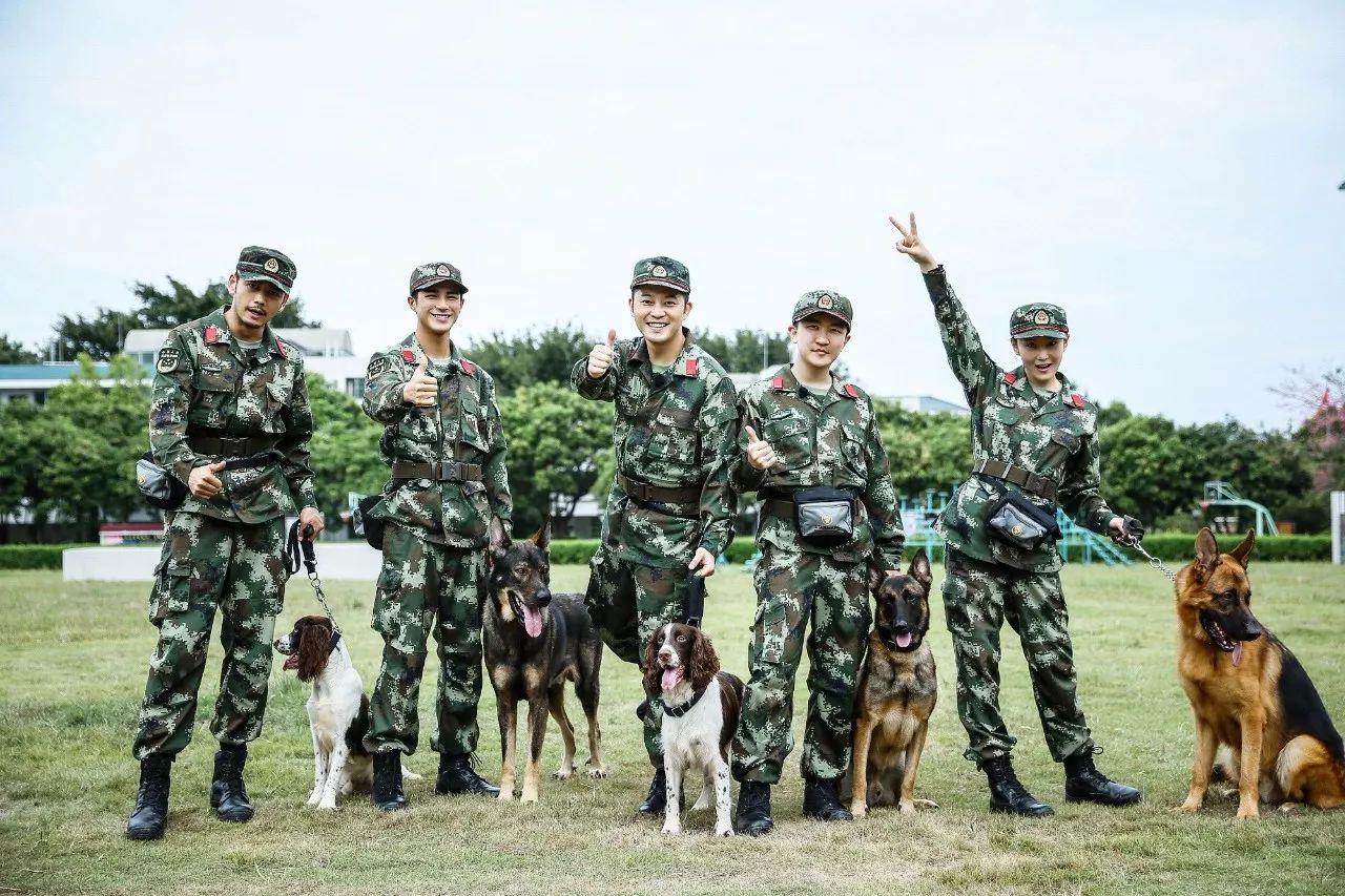 奇兵神犬 浓浓无言战友情中 新鲜题材彰显真挚力量 知乎 奇兵神犬 浓浓无言战友情中 新鲜题材彰显真挚力量 知乎