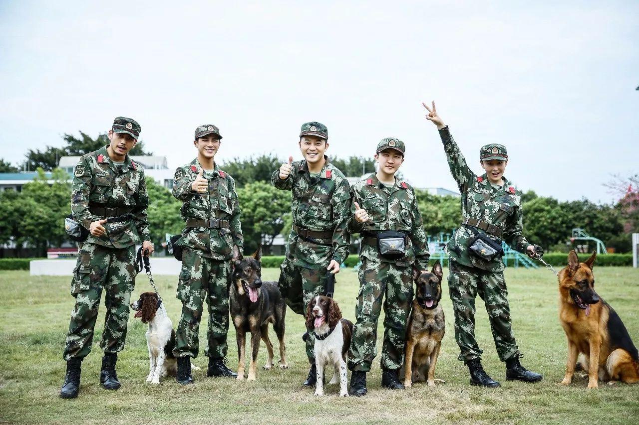 奇兵神犬 浓浓无言战友情中 新鲜题材彰显真挚力量 知乎