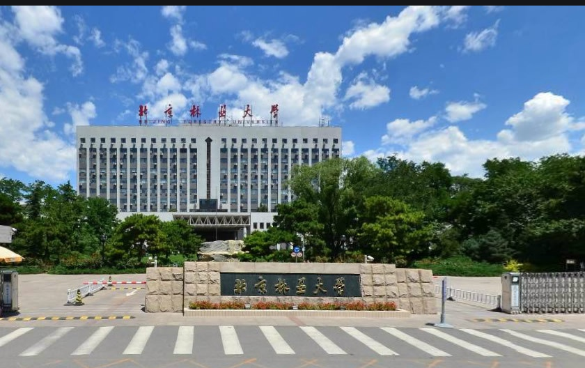 心理学考研-(主打咨询)北京林业大学最新考情 【含真题】 - 知乎