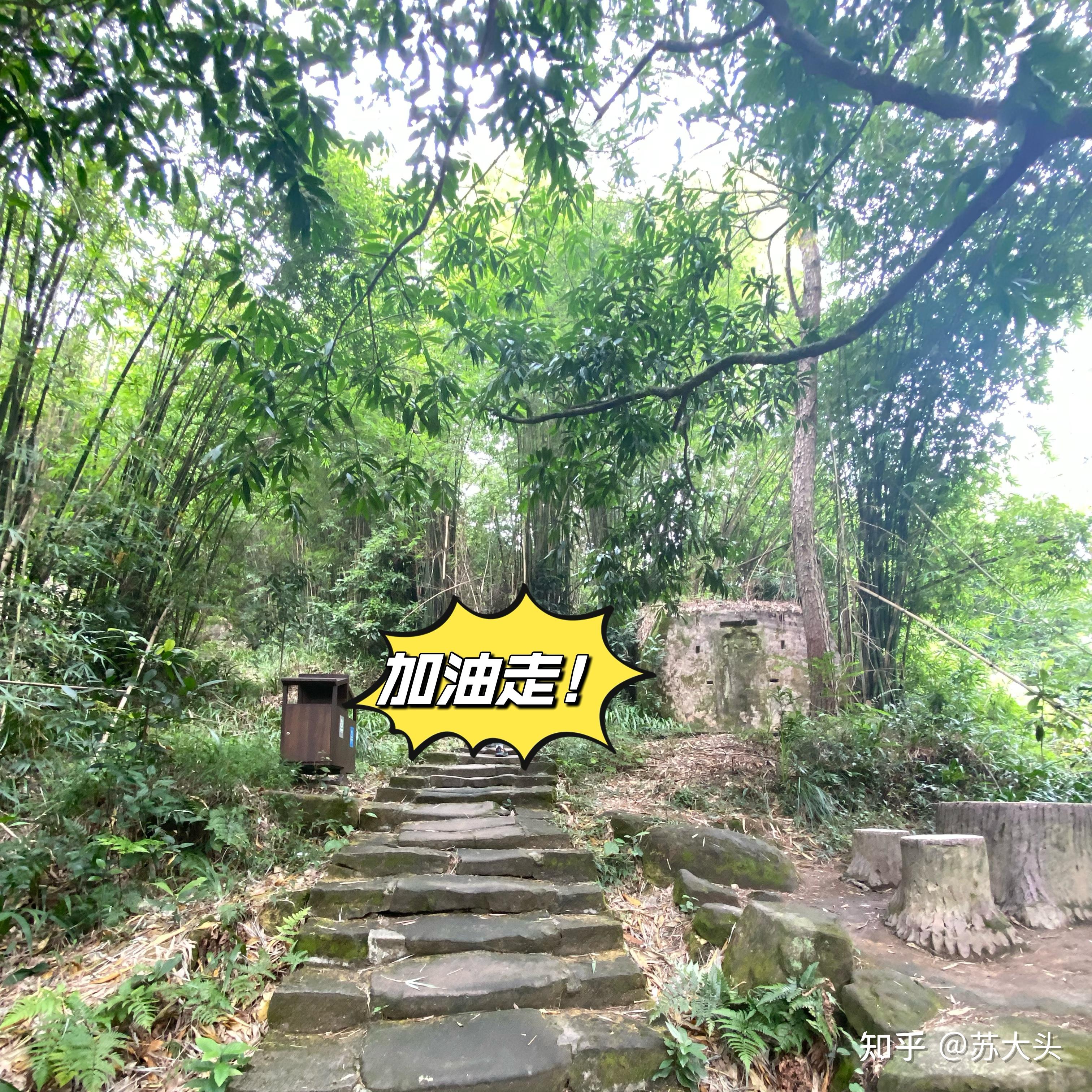 重庆徒步爬山圣地：缙云山免门票上山详细路线指引 - 知乎
