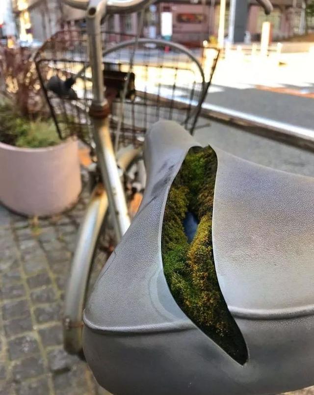 当人类的文明被大自然的绿色掩盖