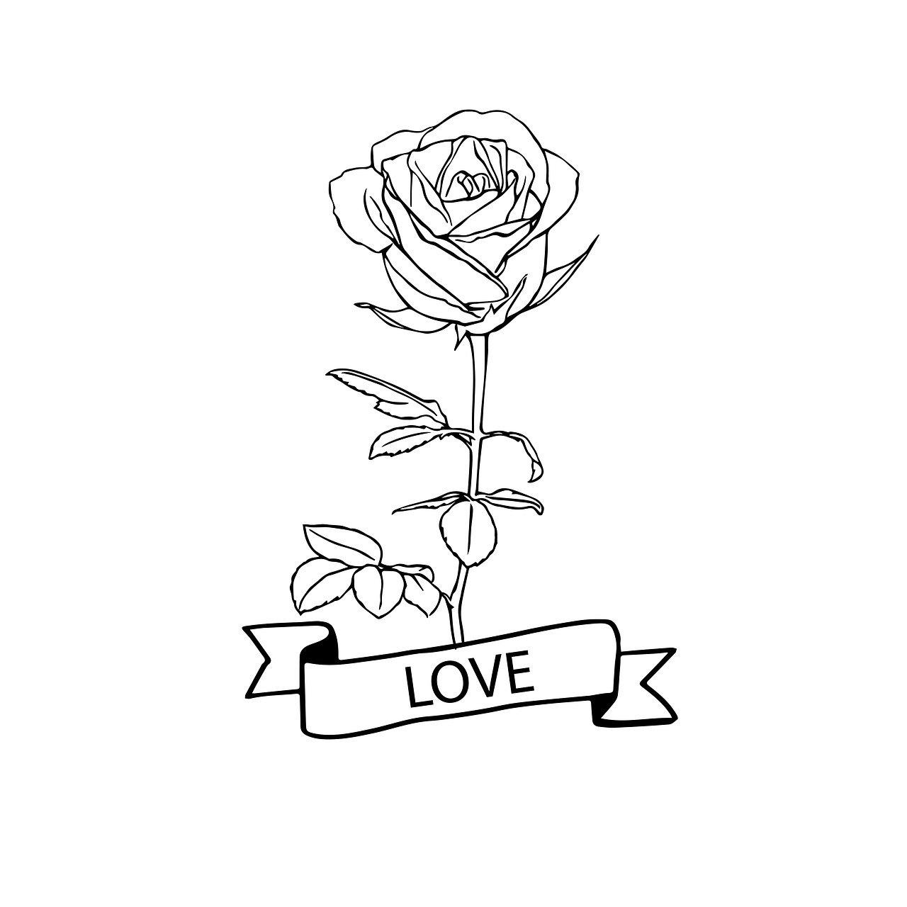 2. 瓶身线条搭配法