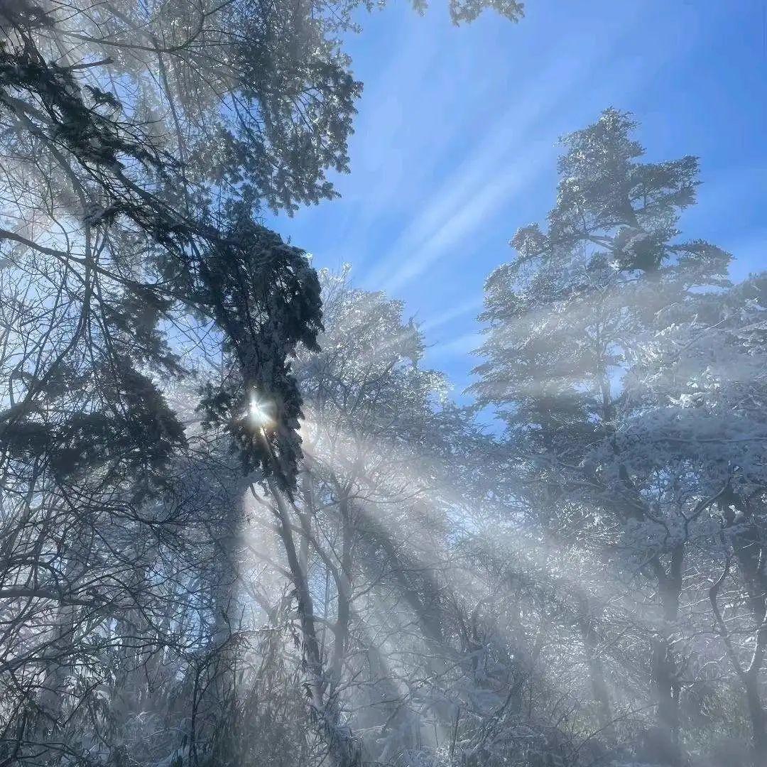 漂亮的背景图微信图片