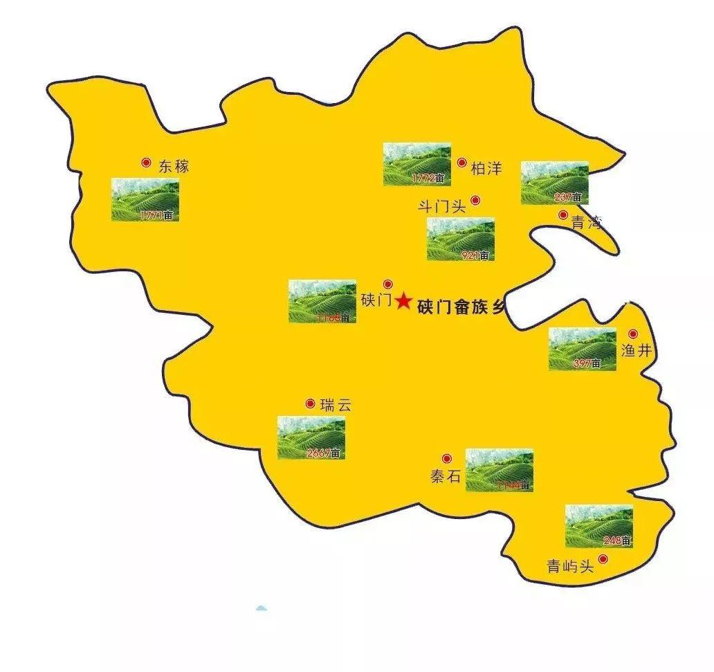 硖 门07素有"福鼎粮仓"之称的店下镇,气候温暖湿润,盛产低海拔白茶.