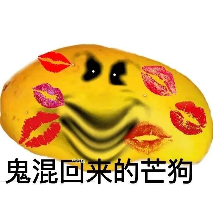 表情包 | 莽狗mango搞怪表情包#芒果 - 知乎