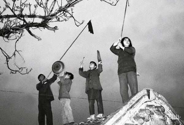 50年代的除四害运动,麻雀遭殃,导致第一场生态灾难爆发