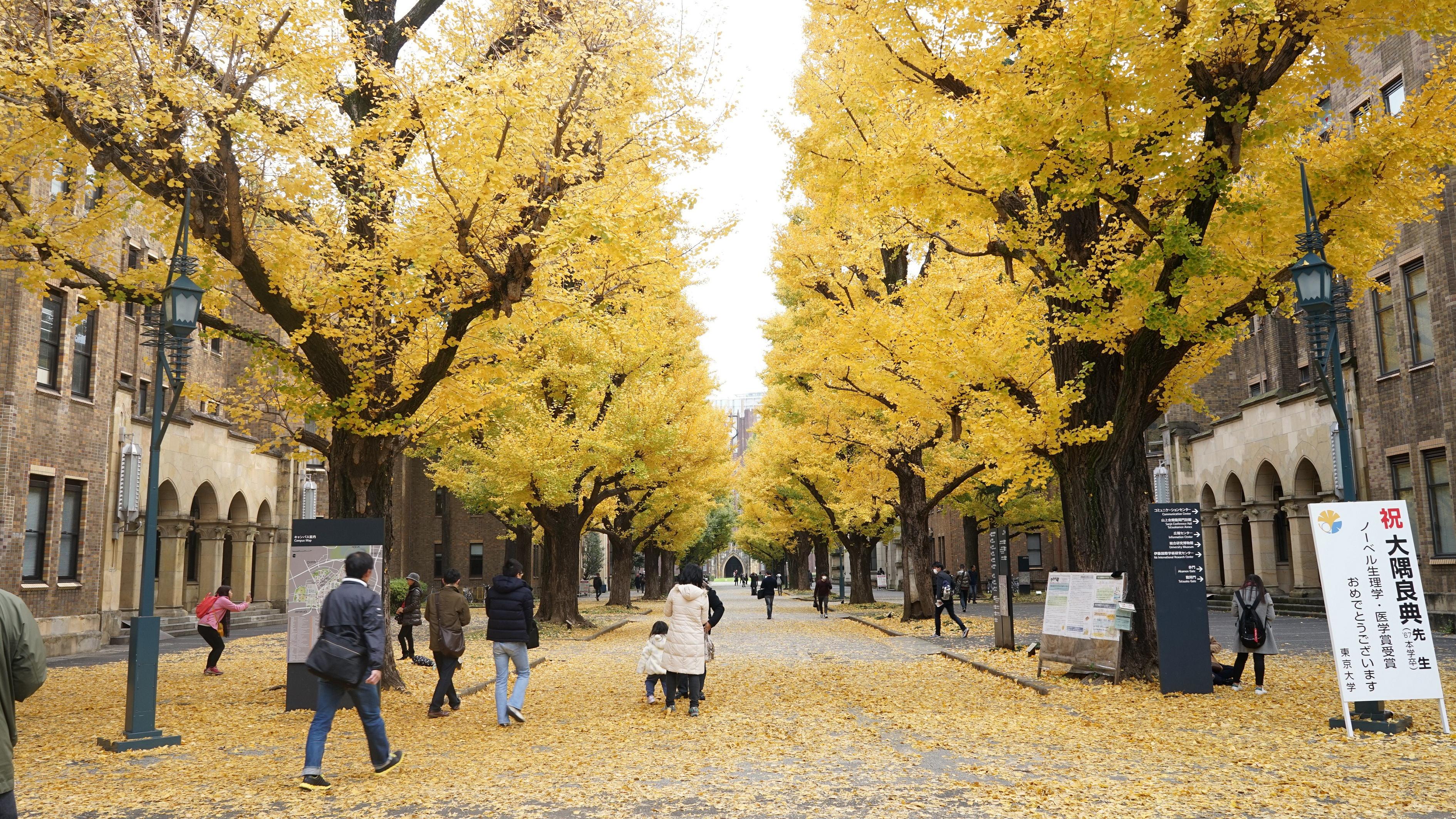 日本名校图鉴——东京大学、庆应大学与早稻田大学 - 知乎