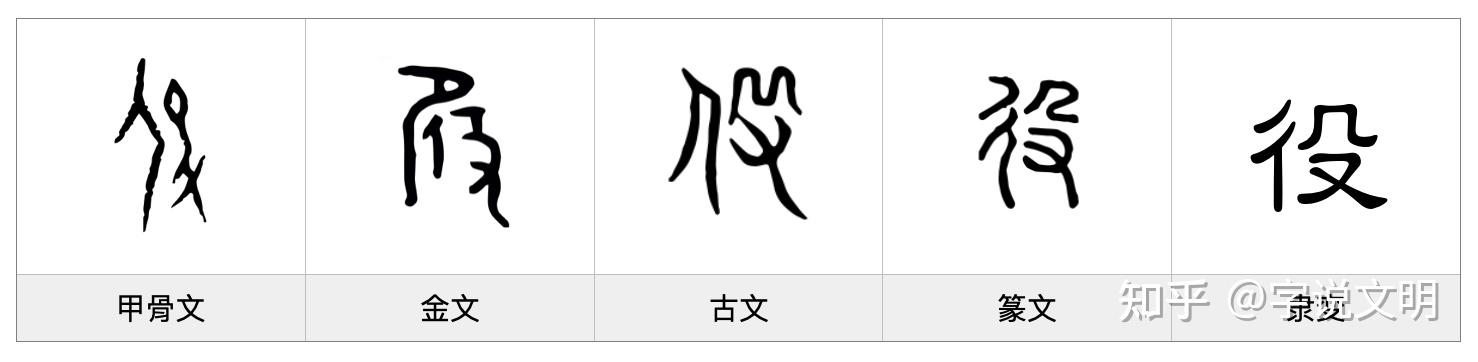 役——每日一字·殳部字 - 知乎