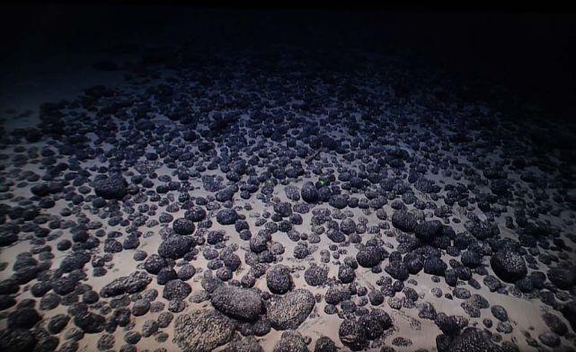 海底锰结核图片