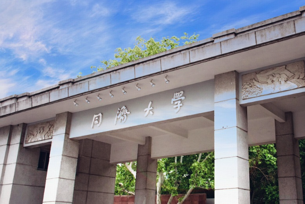 如何看待同济大学王教授的百万经费 Nature 论文被指数据造假？