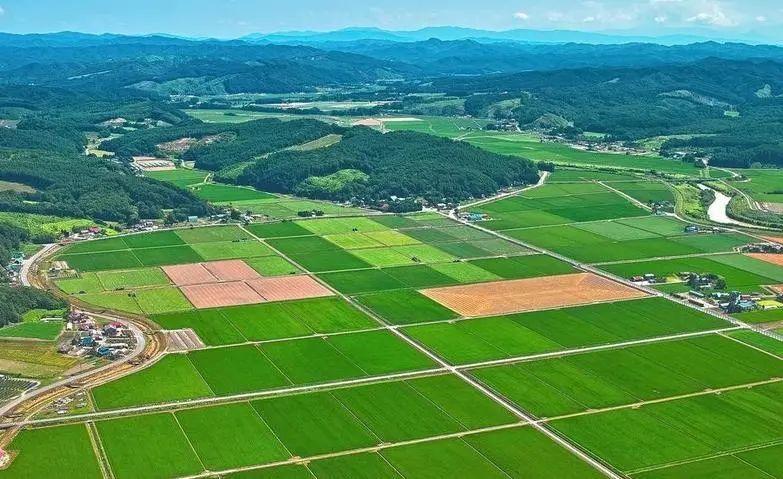 2035年,农村基本农田将全部建成高标准农田,有何区别? - 知乎