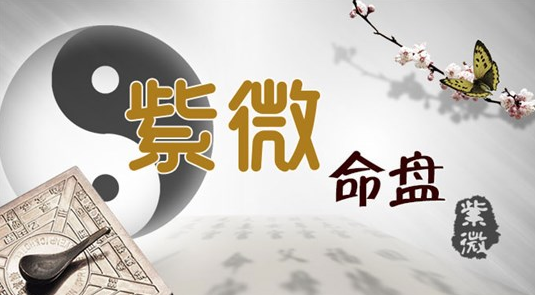紫薇斗数初学者必知基础术语- 知乎