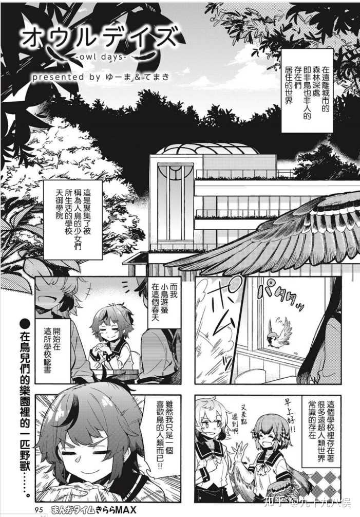 为什么acg鸟类娘化不温不火,感觉不应该啊? - 知乎