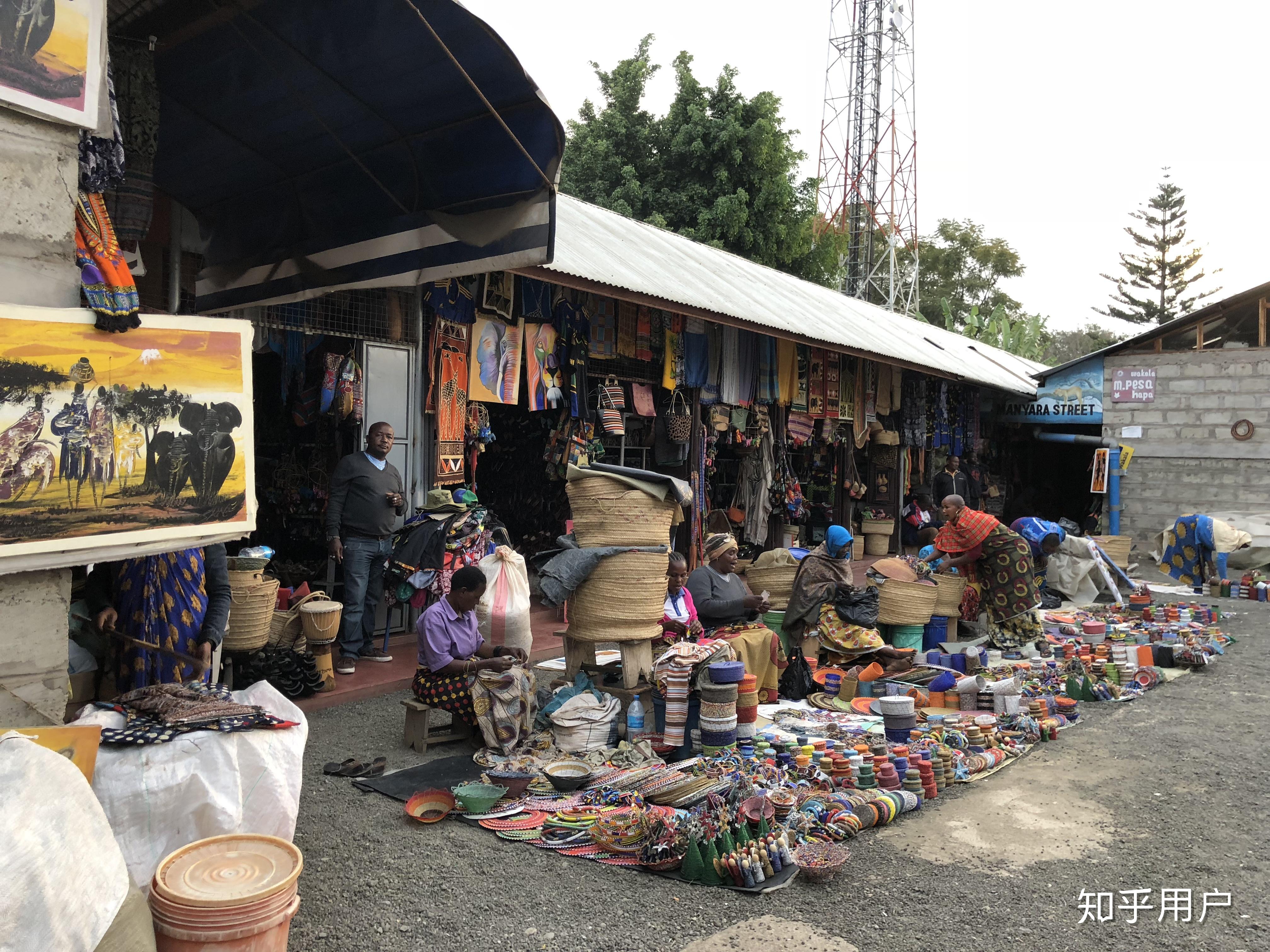 在非洲坦桑尼亚做国际志愿者是怎样的经历呢?