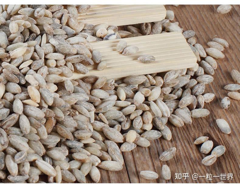 藏青稞一种不能辜负的美食 - 知乎
