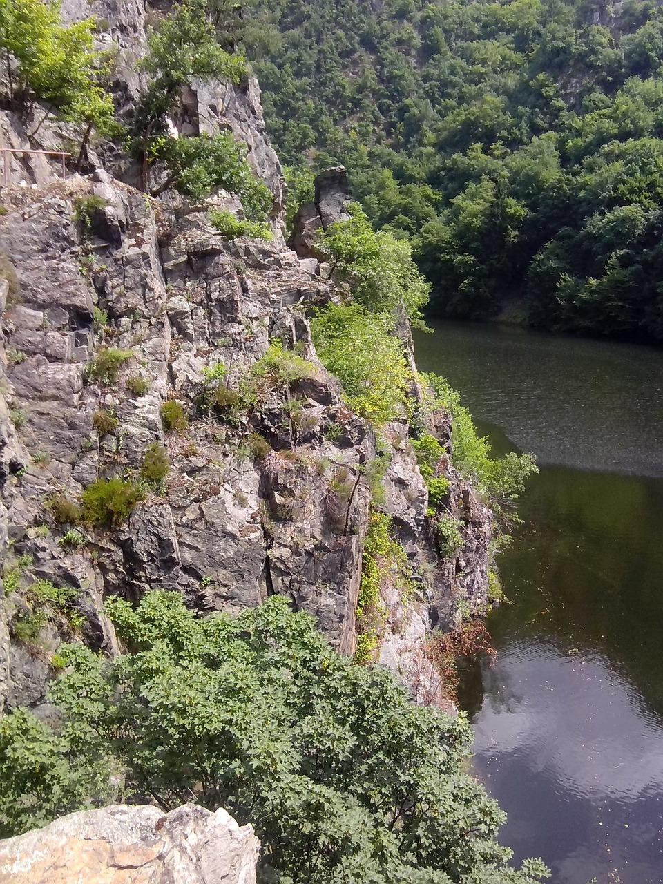 2. 师资力量介绍