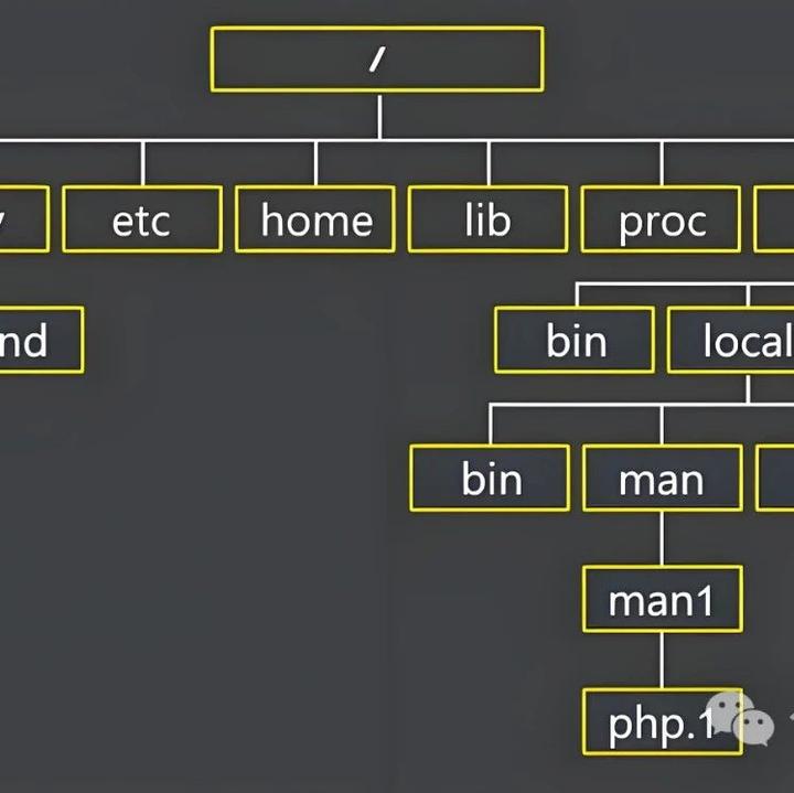 一切从“根”开始,详解Linux树状式文件系统结构! - 知乎
