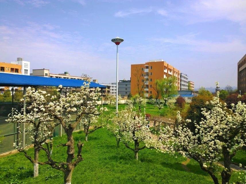 在贵阳学院就读是种怎样的体验? - 知乎