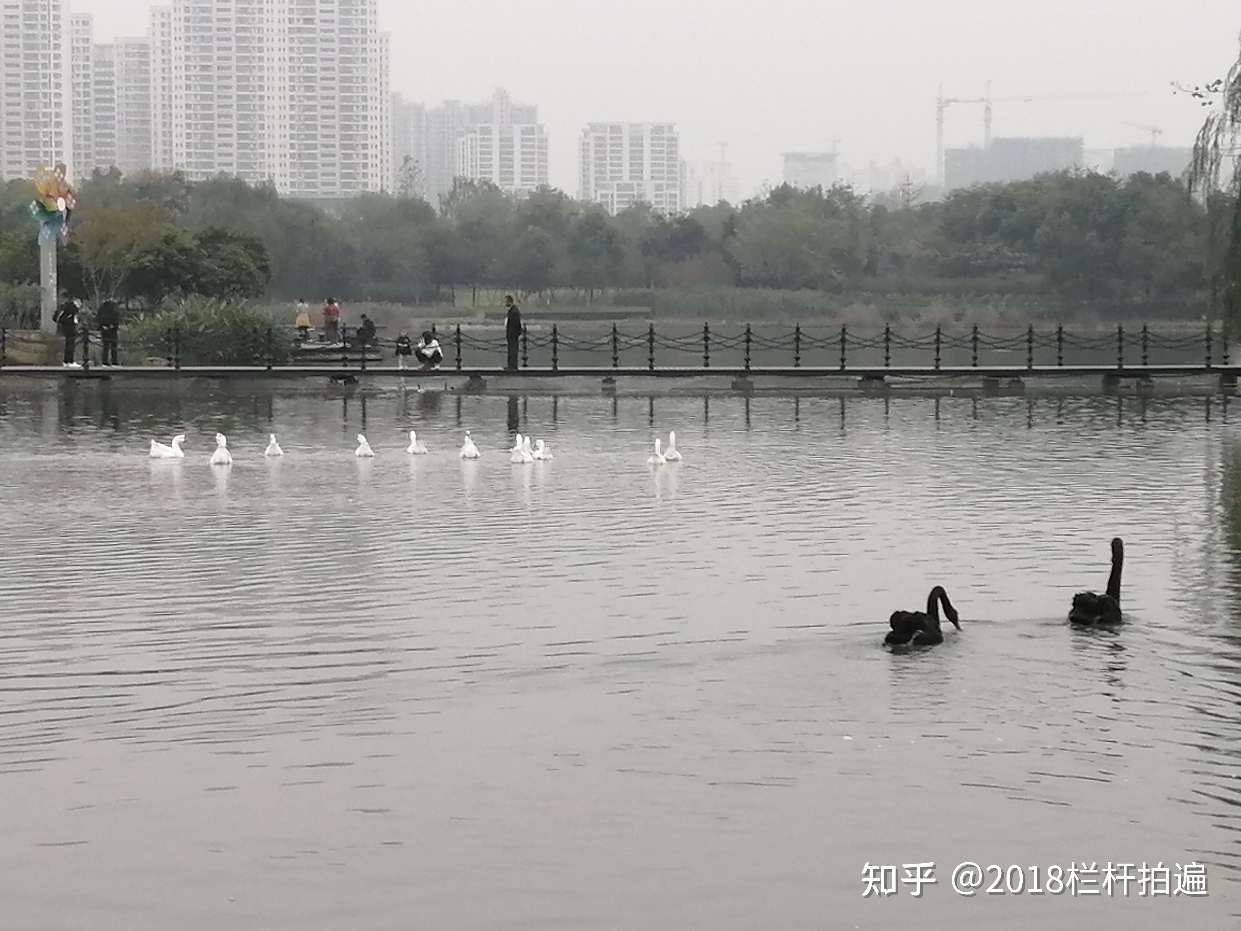 "紫贞公园"位于襄阳市高新区汉江北路东侧,"襄阳高新万达广场"的西北