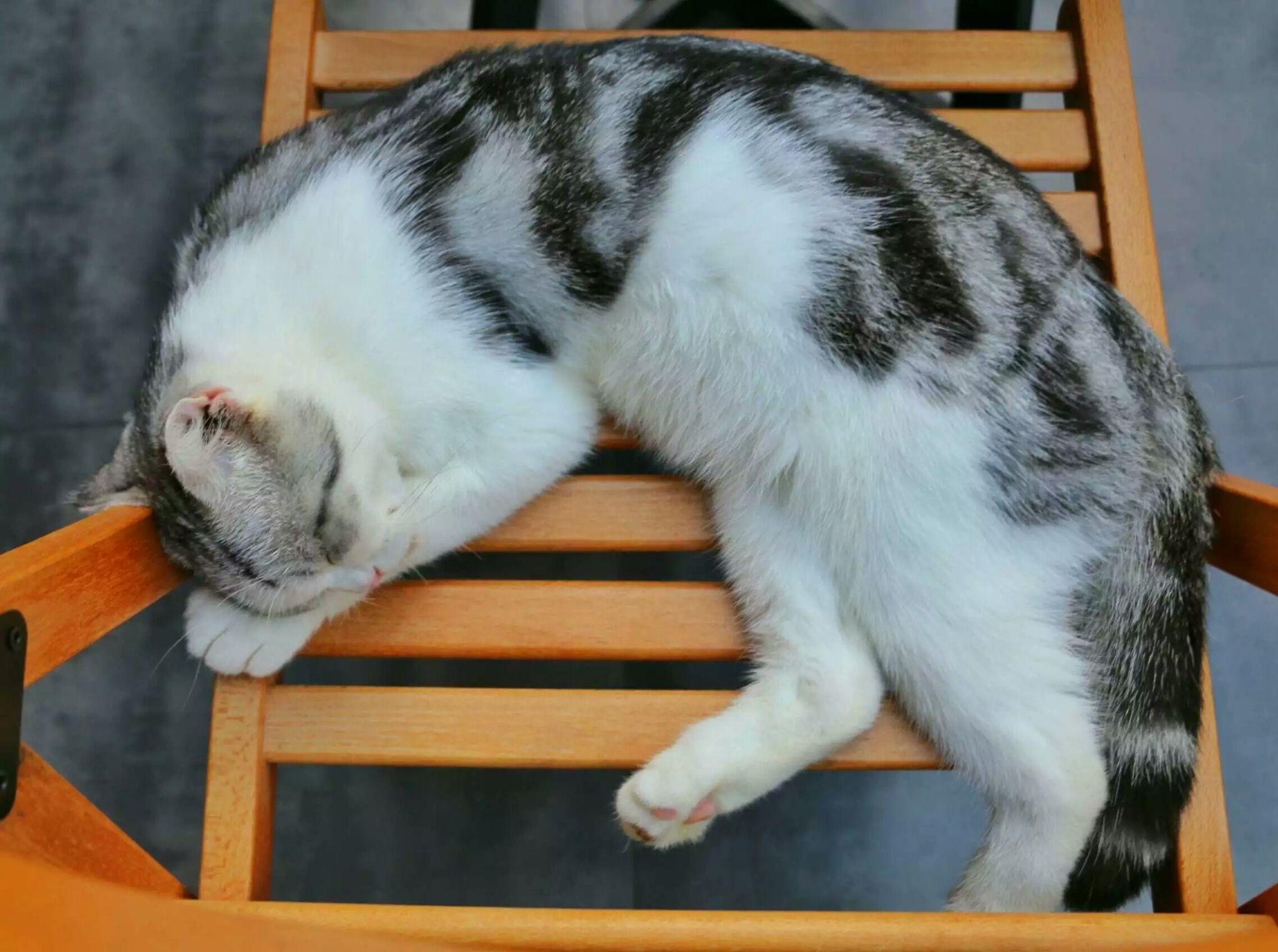 2017 年,你拍的第一张照片是什么? - 小花生的