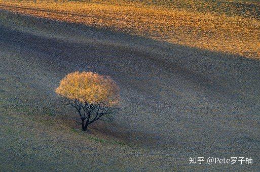v2-b915c508a2934165067262a1d12cb010_r.jpg