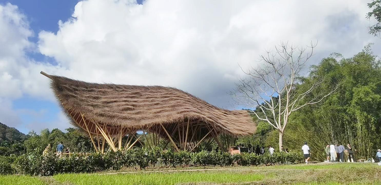 全球特色竹子建筑的竹亭案例分享(设计+建造)境道原竹 - 知乎