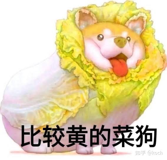 有没有狗头从包菜里钻出来的表情包