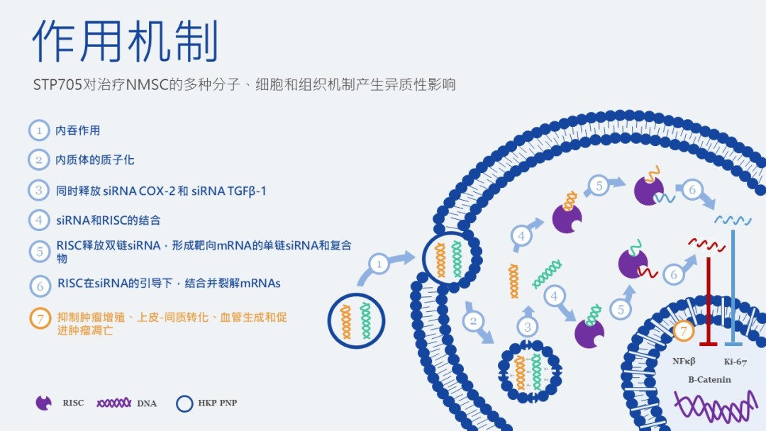 小核酸领域开年现超 20 亿美元的重磅交易,这些企业早已布局