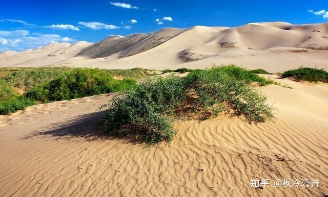 蒙古国有超过3/4的国土正在面临沙漠化的威胁,森林覆盖率只有10%,但这