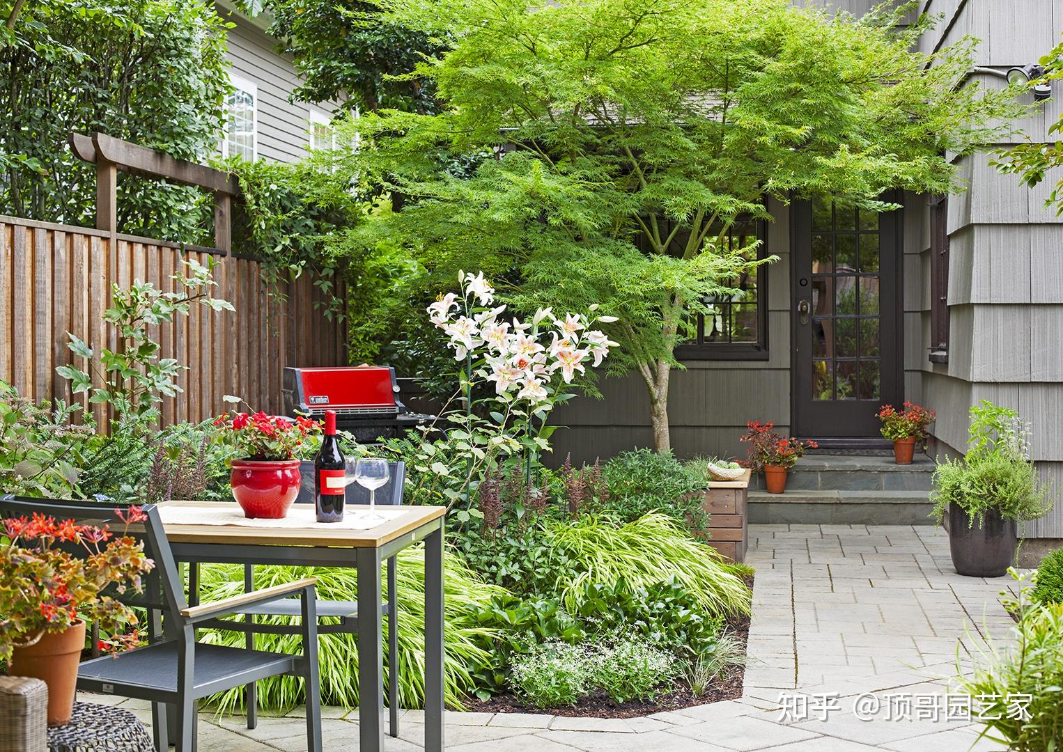 院子的整体布置从哪里入手?怎么选择适合自家院子的布局? - 知乎