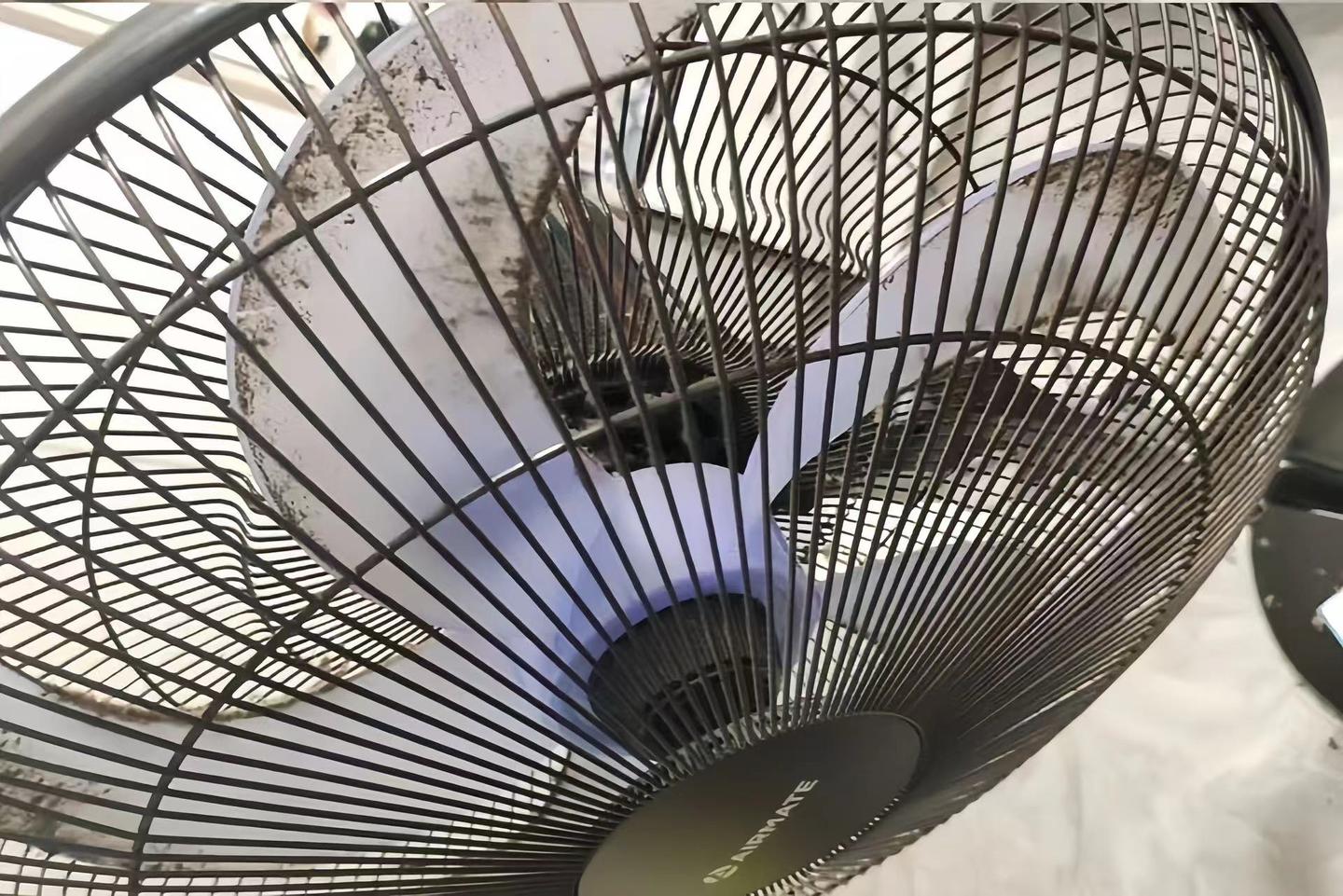 2026 风扇实测推荐!夏天睡觉不想开空调?5 款热门智能落地扇实测,夏普、美的、小米、格力、艾美特性价比选型攻略