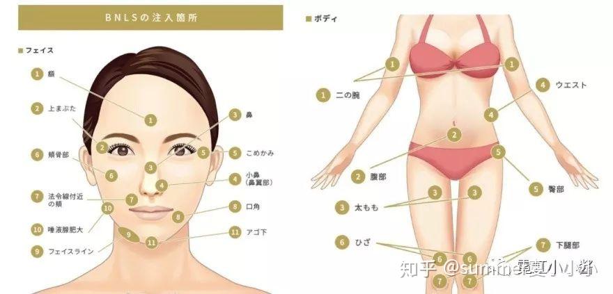 不同部位的注射剂量也不同:注射周期一般以3-5次为一个疗程,隔一周