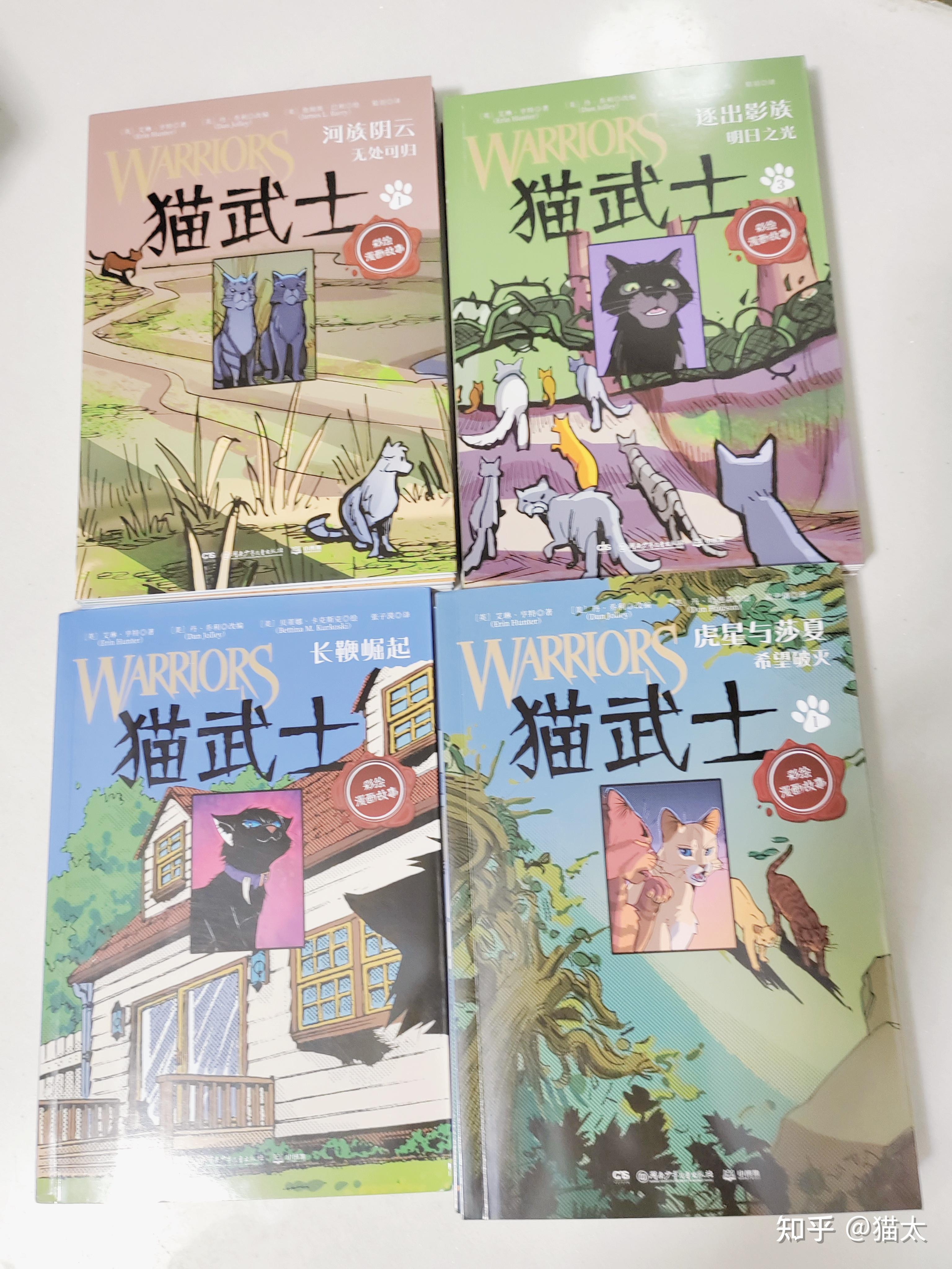 宠物猫VS丛林猫 猫武士养成记 - 知乎