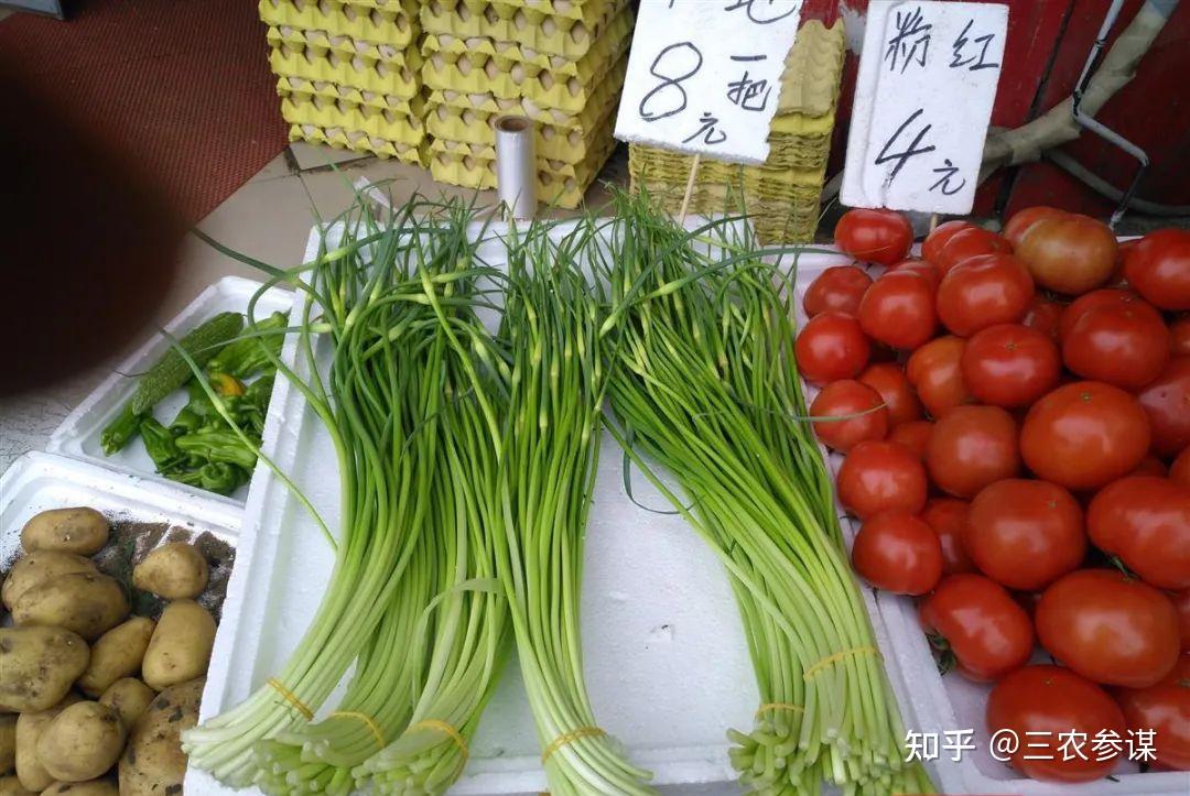 蔬菜產量增加的時期,這個時期蔬菜的價格也會較之前的春節檔菜價便宜