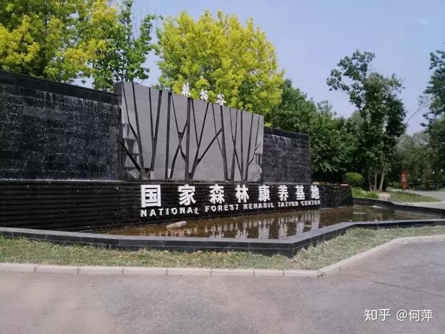 永清林栖谷商业用地开发变种别墅的上市之路