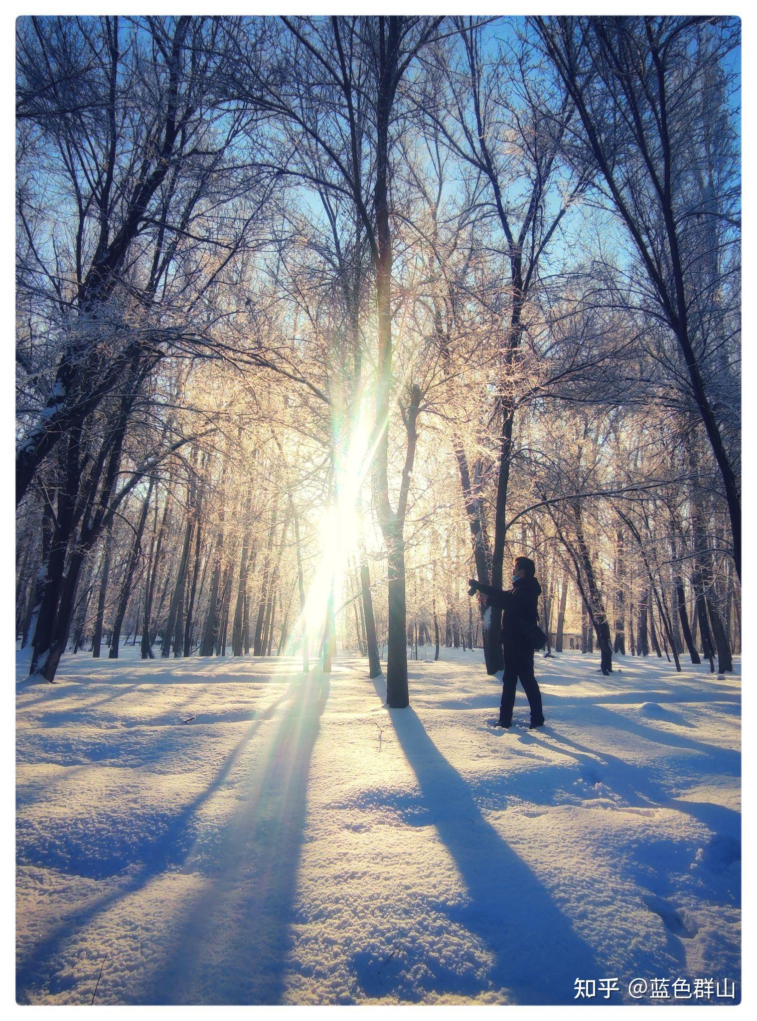 2021最美雪景图片图片