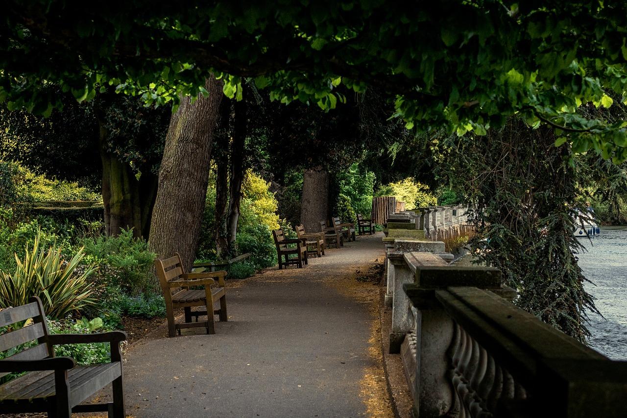 4. 沉香树价格走势