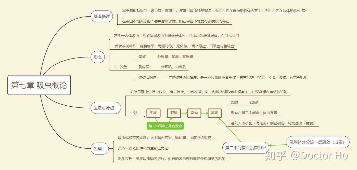 醫學寄生蟲學第五版思維導圖