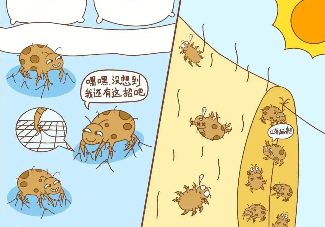 2026年除螨仪推荐,除螨仪是智商税吗?附希亦、友望、美的、苏泊尔、松下等品牌选购