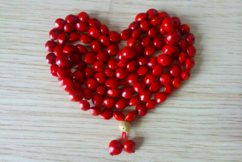 一尺深红胜曲尘,天生旧物不如新.合欢桃核终堪恨,里许元来别有人.