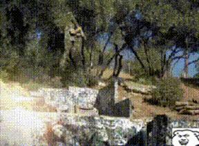 动图封面