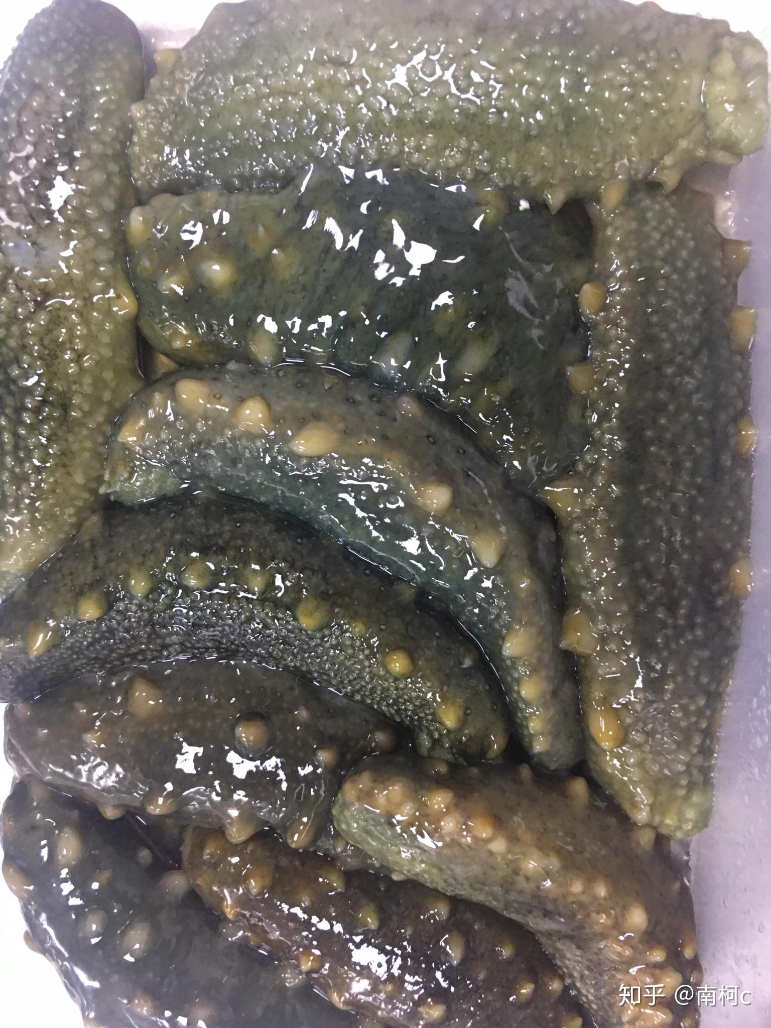 新鲜的活海参是不可以直接食用的吗