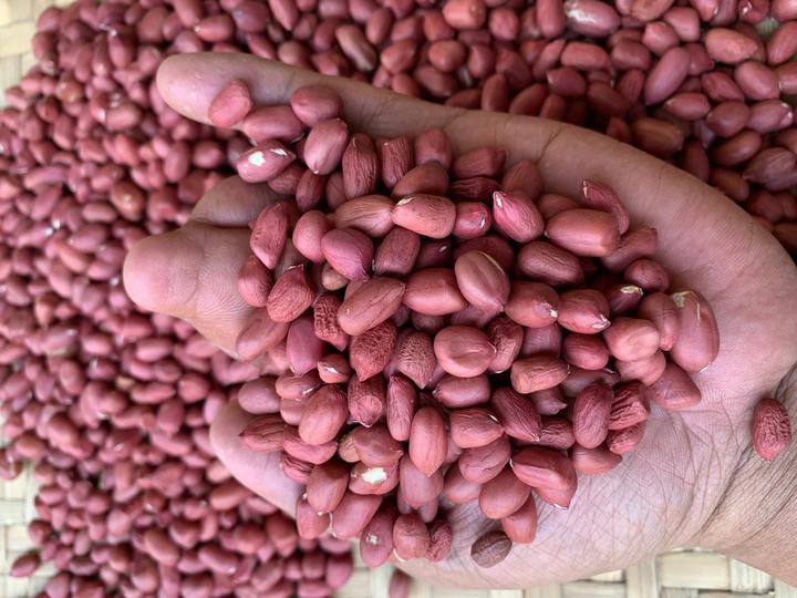 缅甸进口花生米最新价格