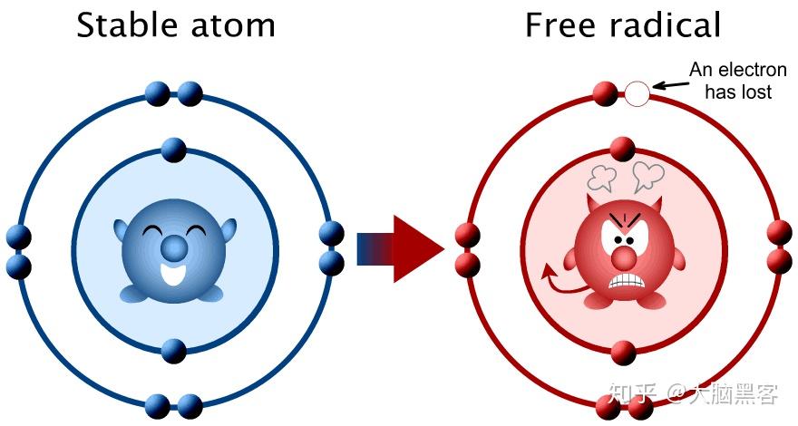 *自由基攻击不饱和脂肪酸