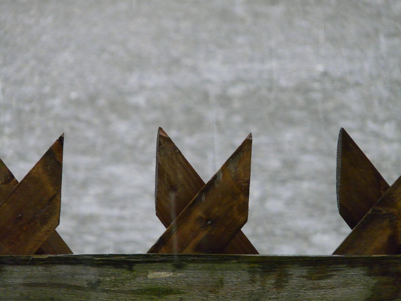 台风暴雨中的温情故事