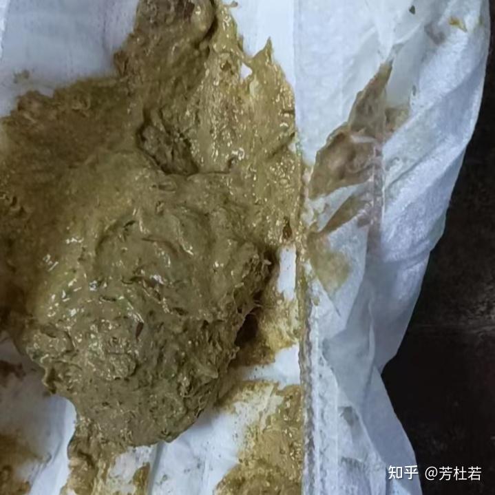 女儿拉粑粑 自己图片