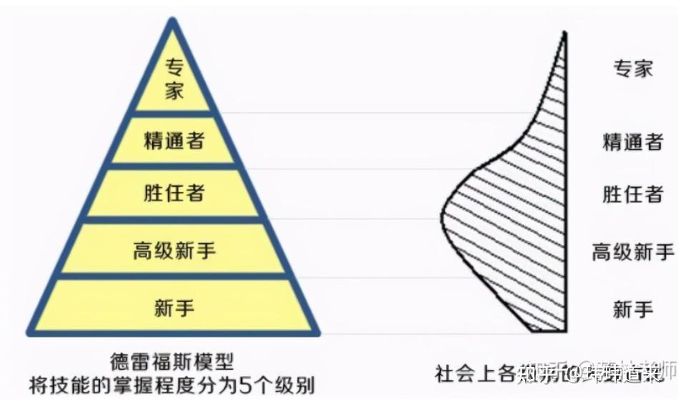 从新手到专家——国外服务器租用的全方位解析 (从新手到专家的五个阶段)