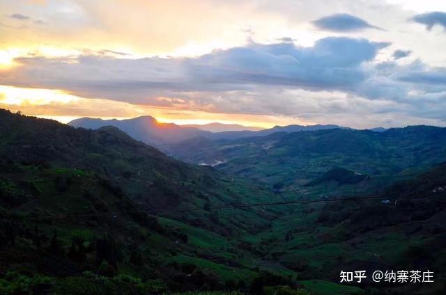 納寨茶莊深山青年如何振興祖業成立茶葉自有品牌一