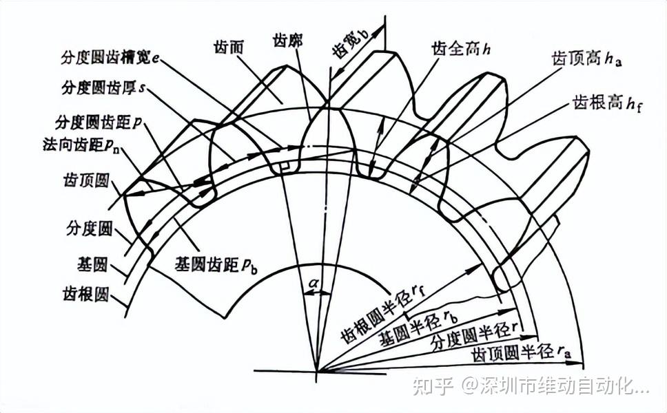 普通挂钟齿轮结构图图片