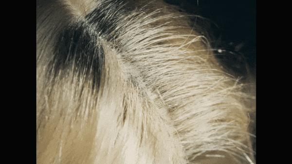 《丹凤眼》冲击力拉满！华裔限制级太敢拍